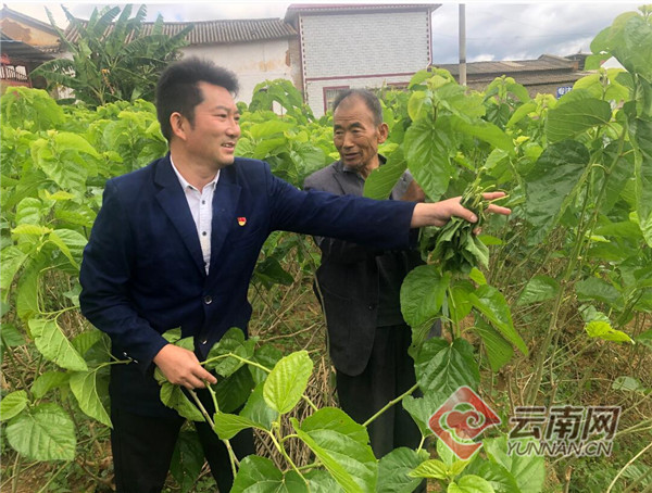 曹冯村民委员会领导团队最新概览