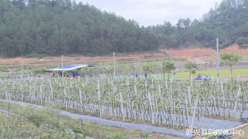 孙家河村民委员会重塑乡村新篇章，走向繁荣之路